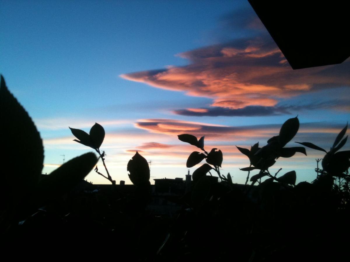 Cielomare *