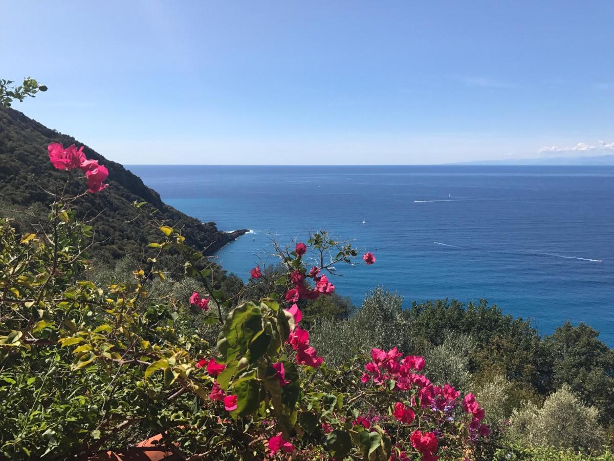 Cielomare Camogli